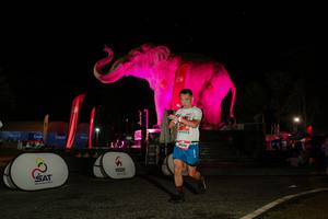 BIB: 
                            <button type="button" onclick="openModal(26534368)" class="btn btn-primary btn-sm float-right btn-popup" data-toggle="modal" data-target=".modal-high-quality">
                        <i class="fas fa-shopping-cart"></i> Add to Cart
                    </button>
                                            <button type="button" onclick="isThisMe(26534368, true)" class="btn btn-success btn-sm float-right btn-popup btn-isme hidden" data-toggle="tooltip" data-placement="bottom" title="นี่คือรูปของคุณใช่ไหม คลิกที่นี่เพื่อเอาเข้าอัลบั้ม">
                        <i class="fas fa-plus"></i> Add to album
                    </button>
                    <button type="button" onclick="isThisMe(26534368, false)" class="btn btn-warning btn-sm float-right btn-popup btn-isnotme hidden">
                        <i class="fas fa-ban"></i> Remove from album
                    </button>